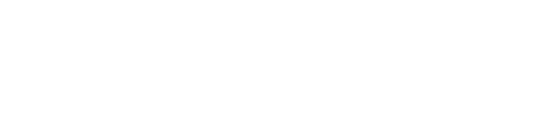 Holytype Logo